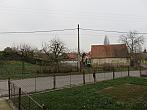 Třibřichy