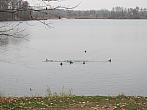 Neratovice