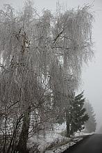 Toužim