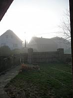 Třibřichy