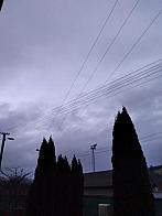 Skalité