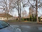 Třibřichy