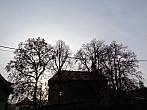 Ostrovec