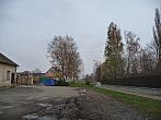 Třibřichy
