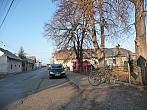 Třibřichy