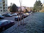 Borovina