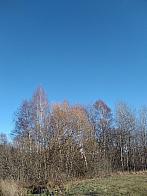 Pacov