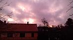 Olešná