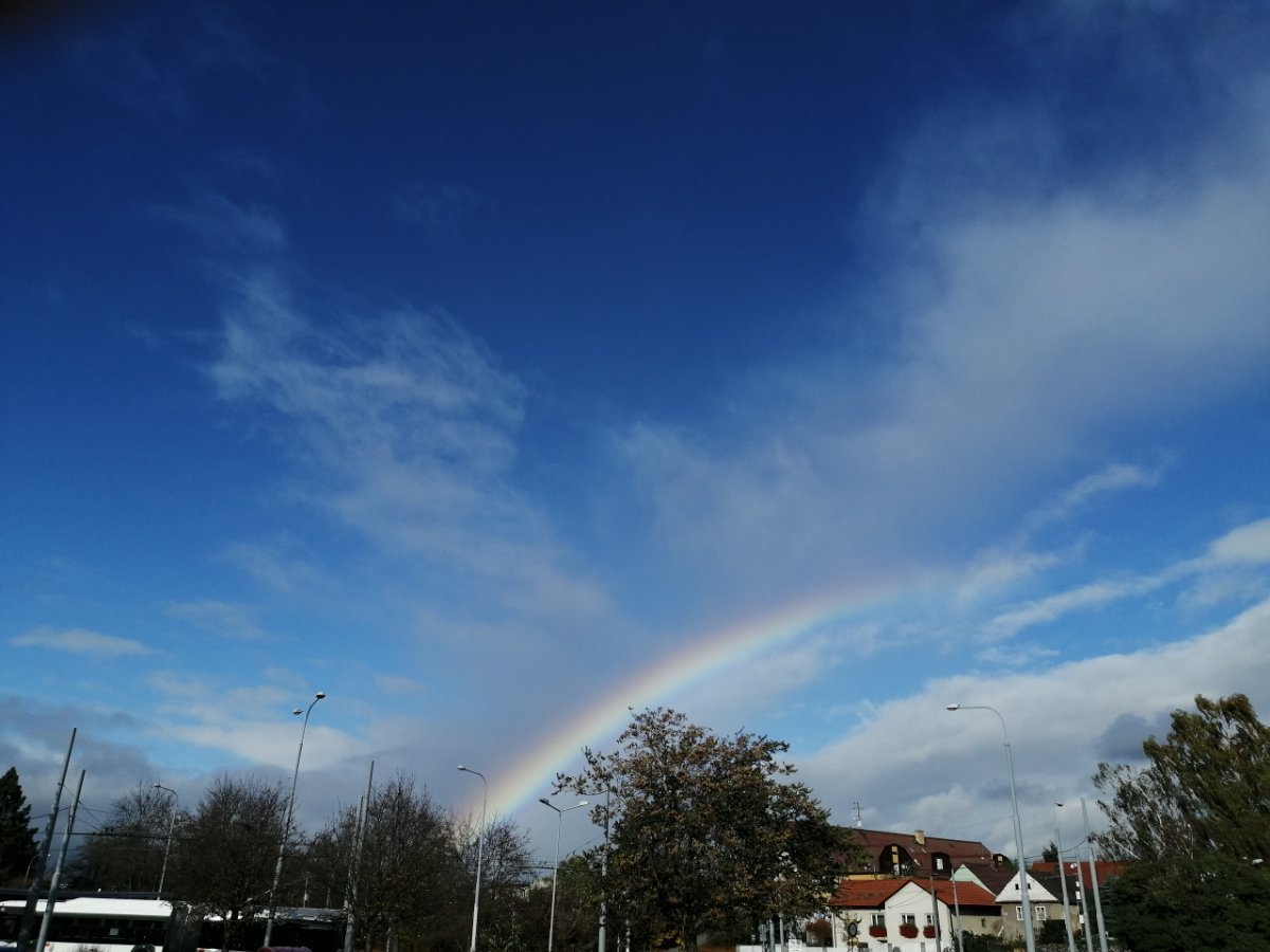 Dýšina