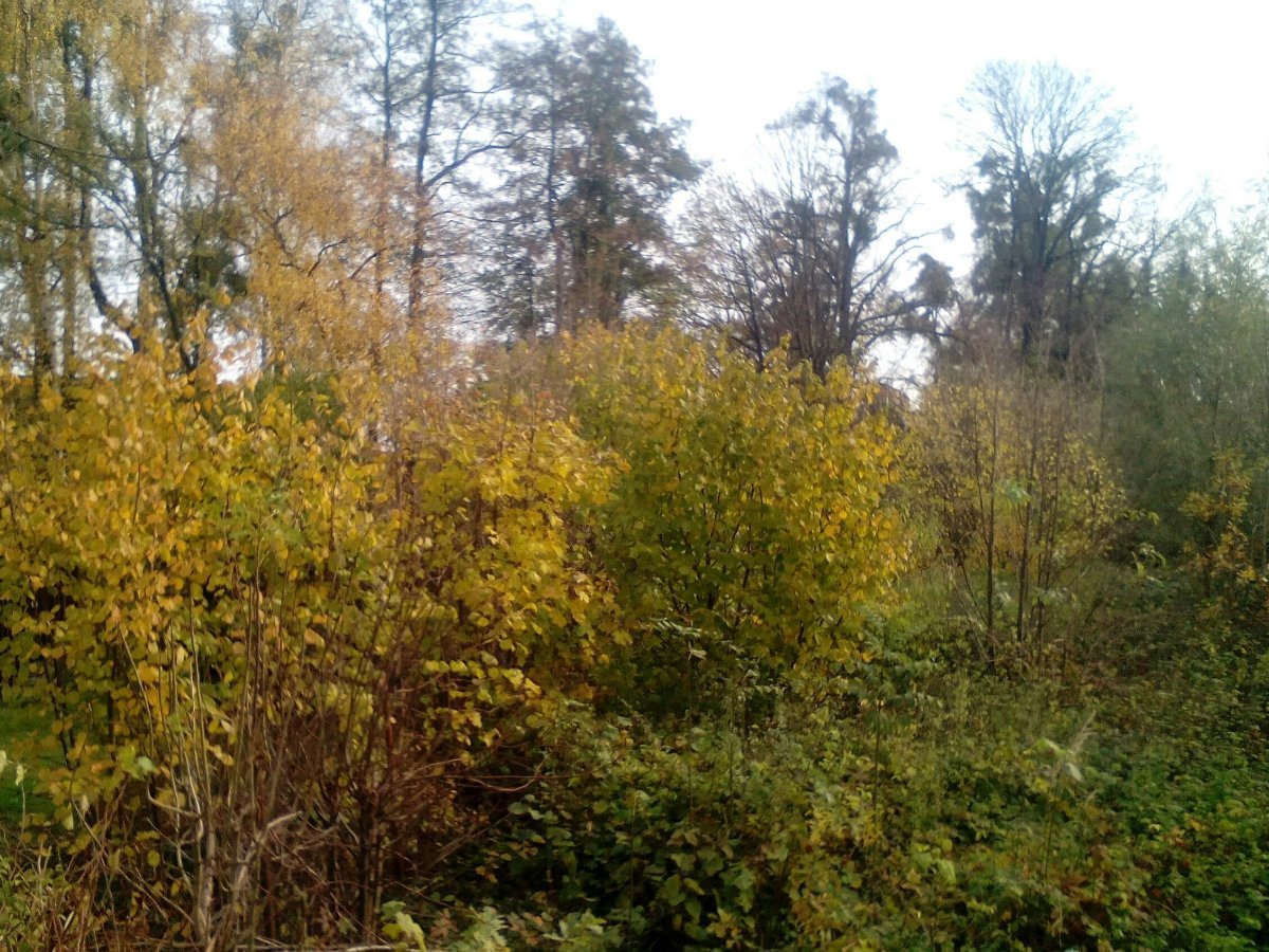 Ostrava-Poruba