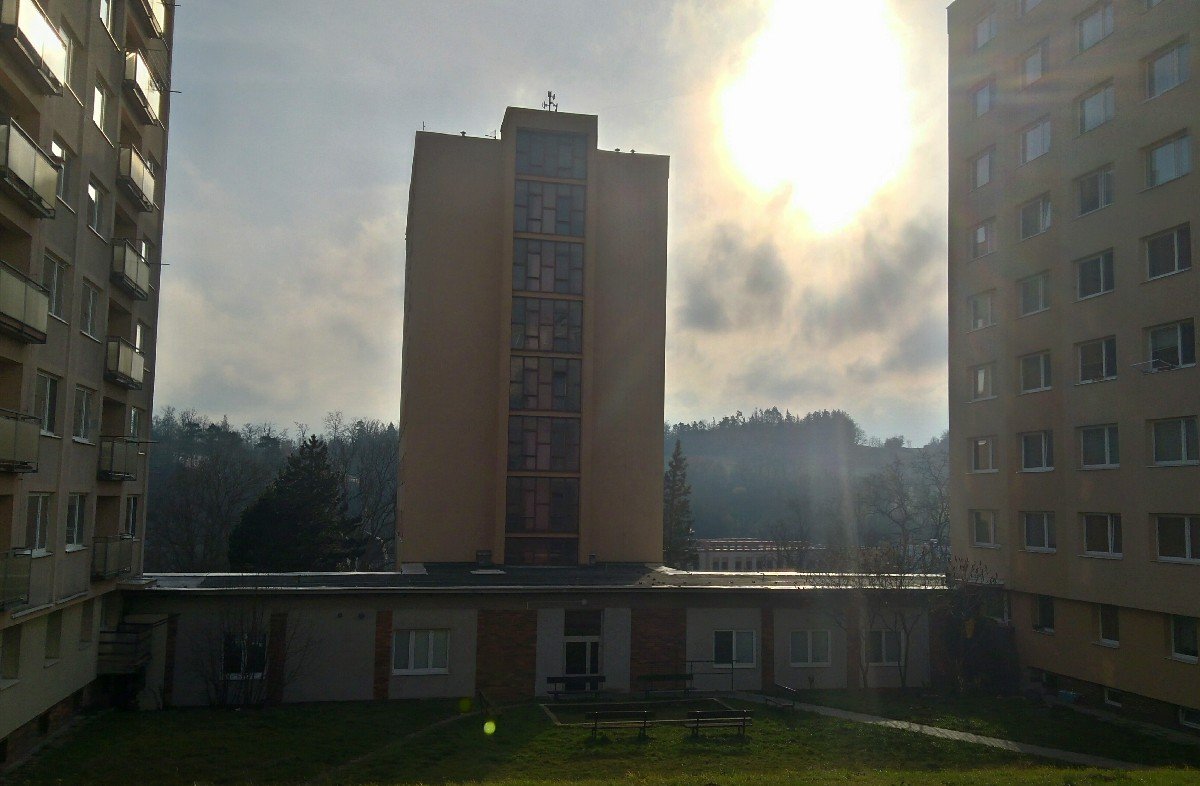Borovina