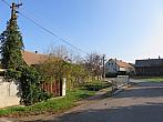 Třibřichy
