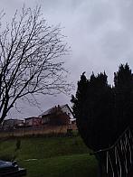 Skalité