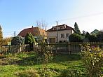 Třibřichy