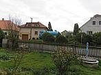 Třibřichy