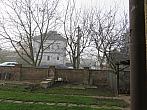 Třibřichy