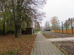 Třibřichy