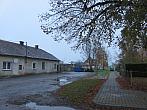 Třibřichy