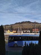 Skalité