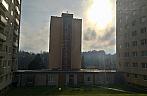 Borovina
