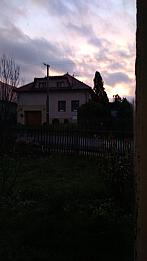 Třibřichy