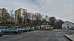 Borovina