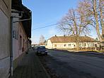 Třibřichy
