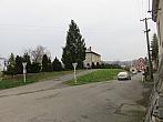 Třibřichy