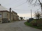 Třibřichy