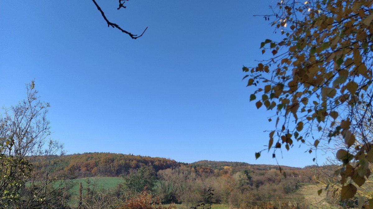 Habrovany