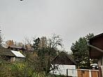Olešná
