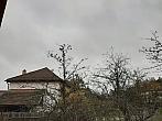 Olešná