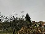 Olešná