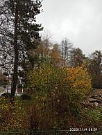 Ostrava-Poruba