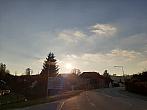 Olešná