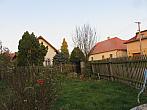 Třibřichy