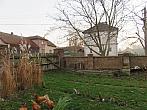 Třibřichy