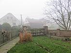 Třibřichy