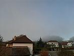 Olešná