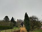 Olešná