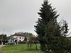 Olešná