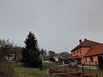 Olešná