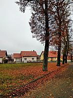 Pacov