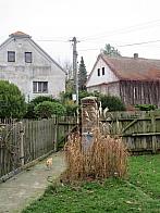 Třibřichy