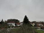 Olešná