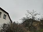 Olešná