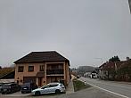 Olešná