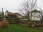 Třibřichy