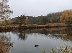 Chomutov