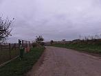 Třibřichy